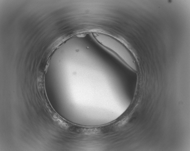 X0000078311001200611172210