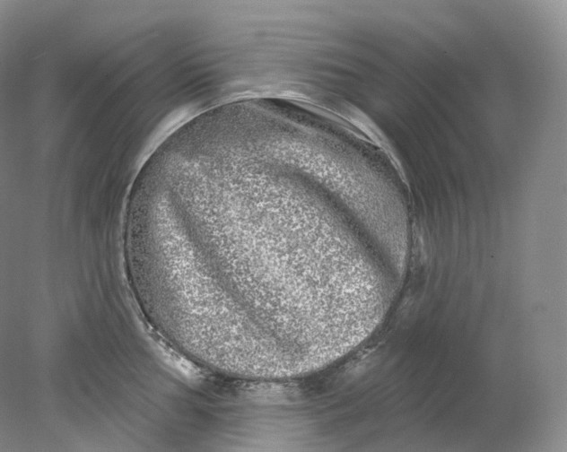 X0000078311002200611172210