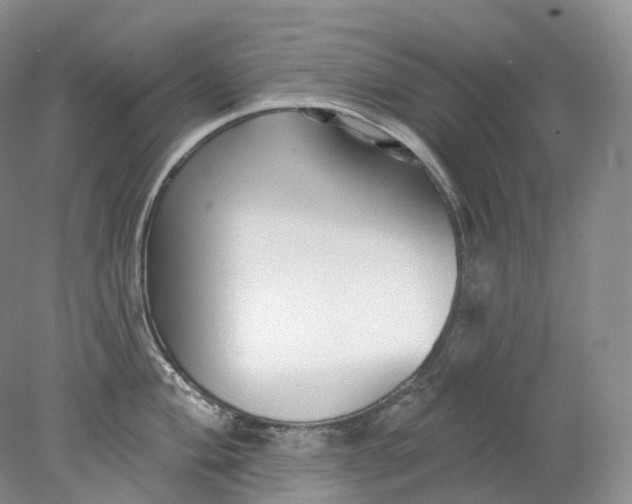 X0000078311004200611172210