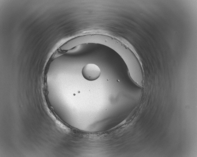 X0000078311005200611172210