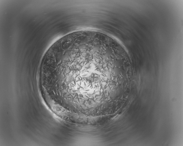 X0000078311007200611172210