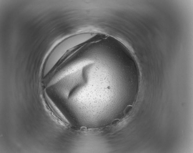 X0000078311008200611172210