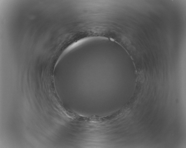 X0000078311009200611172209