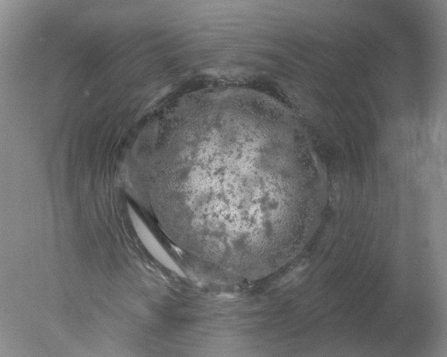 X0000078311010200611172209