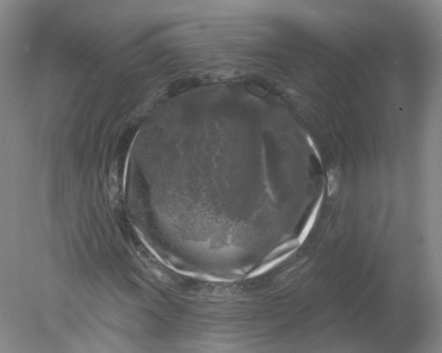 X0000078311011200611172209