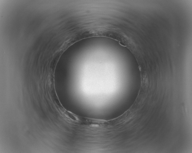 X0000078311012200611172209