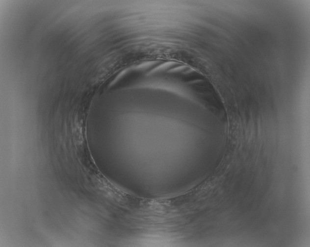 X0000078311013200611172209