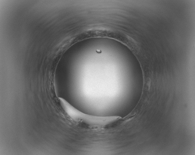 X0000078311014200611172209