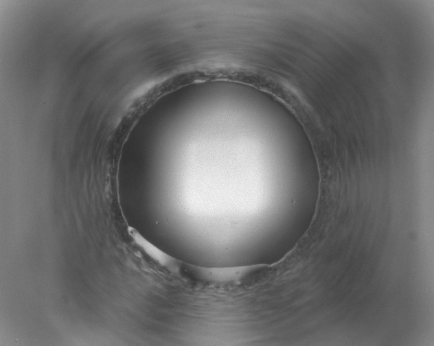 X0000078311016200611172209