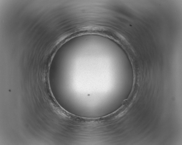 X0000078311017200611172209