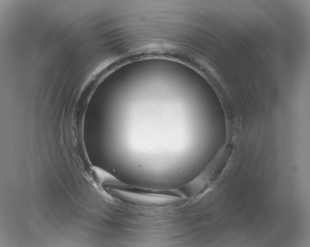 X0000078311018200611172209