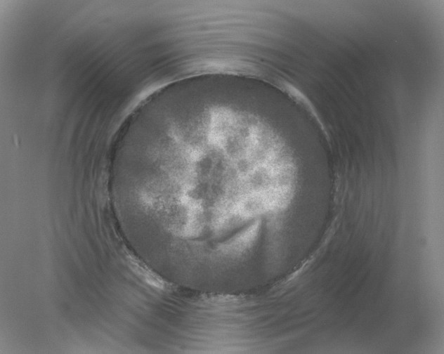 X0000078311019200611172209