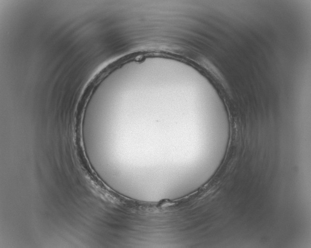 X0000078311020200611172209