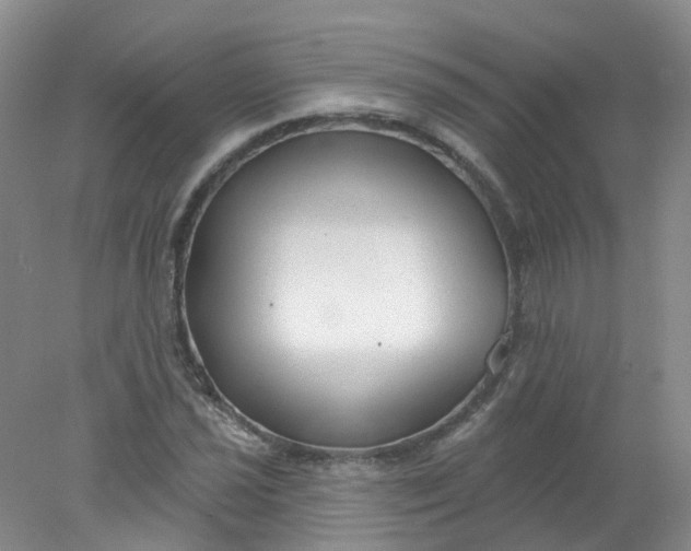 X0000078311021200611172209