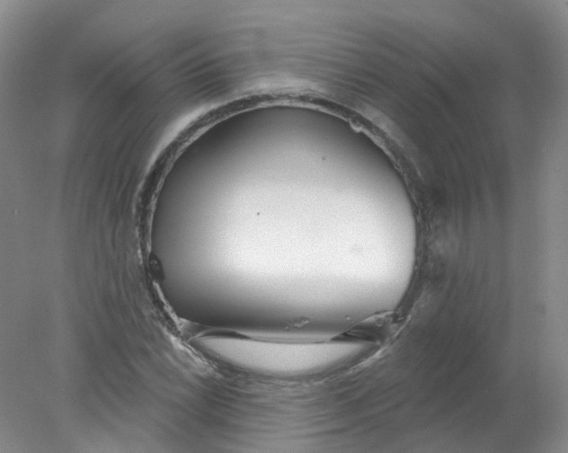 X0000078311022200611172209