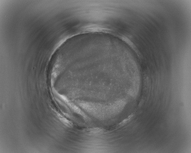 X0000078311023200611172209