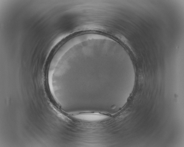 X0000078311024200611172209