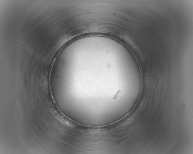 X0000078311025200611172209