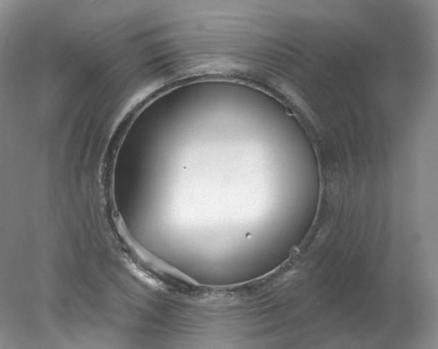 X0000078311026200611172209