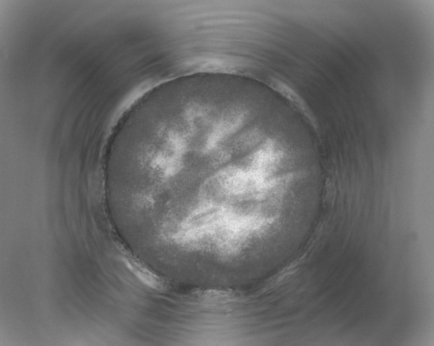 X0000078311027200611172209