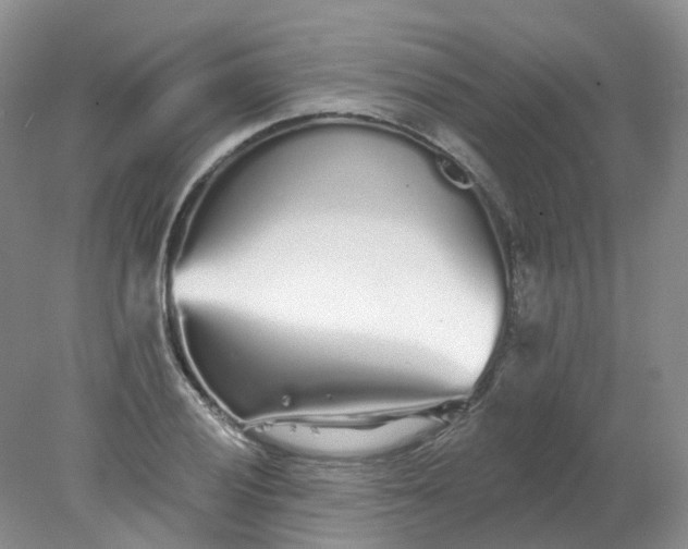 X0000078311028200611172209