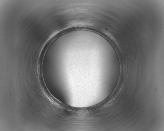 X0000078311029200611172209