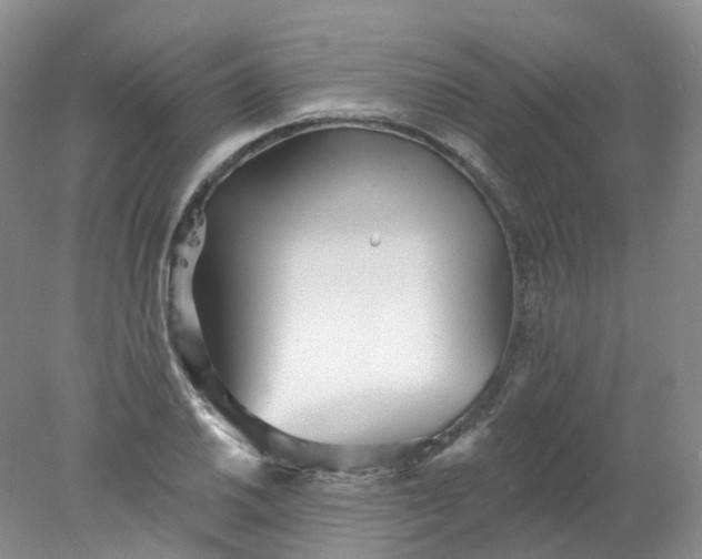 X0000078311030200611172209