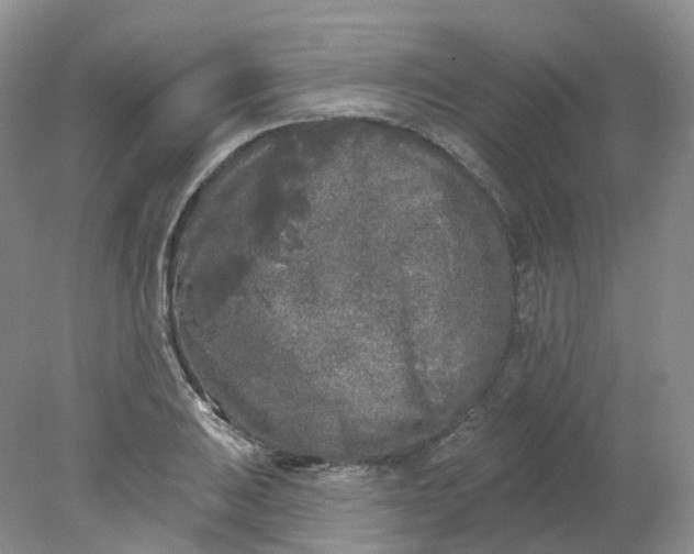 X0000078311031200611172209