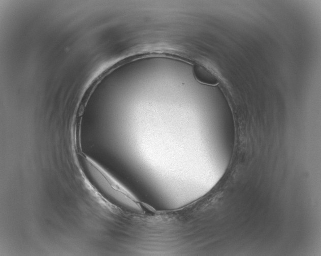 X0000078311032200611172209