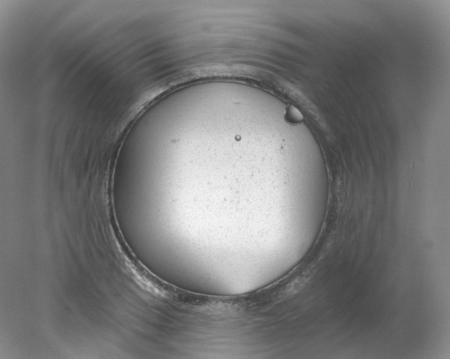 X0000078311033200611172209