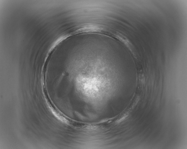 X0000078311034200611172209