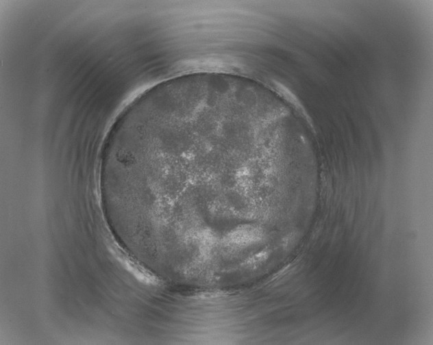 X0000078311035200611172209