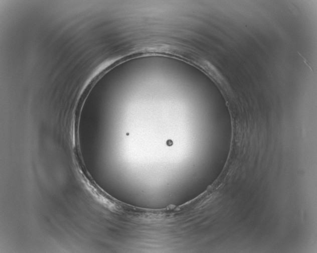 X0000078311036200611172209