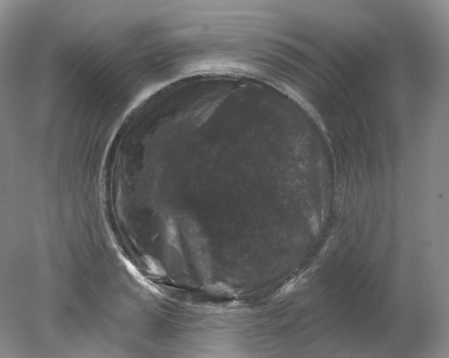 X0000078311037200611172209