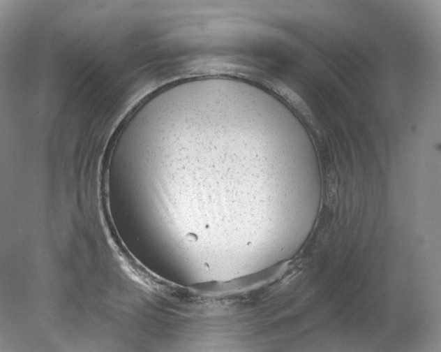 X0000078311039200611172209