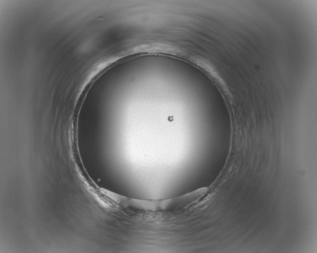 X0000078311040200611172209