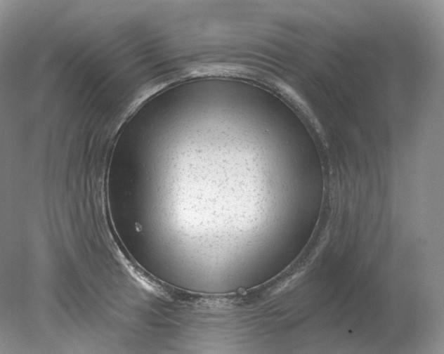 X0000078311041200611172209