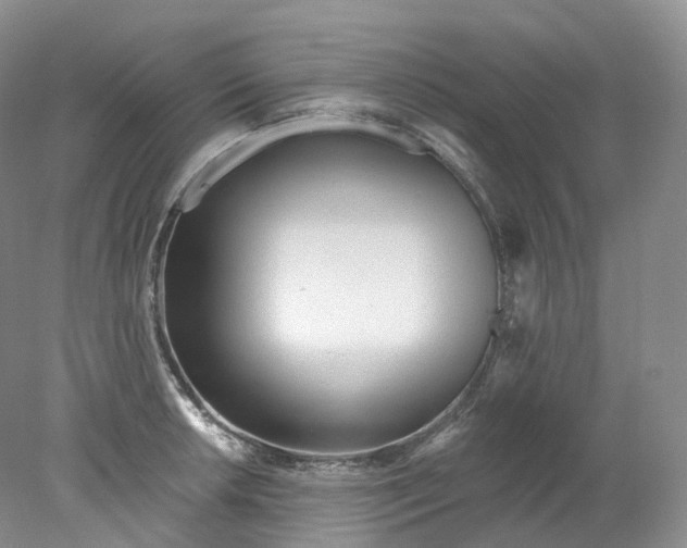 X0000078311042200611172209