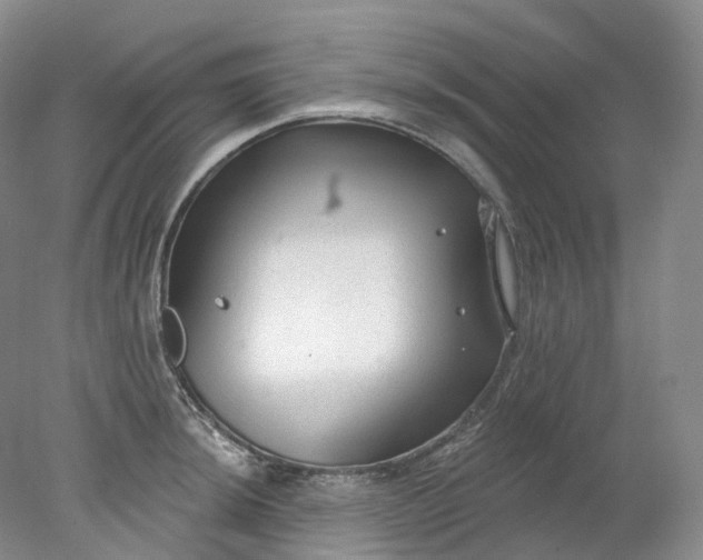 X0000078311044200611172209