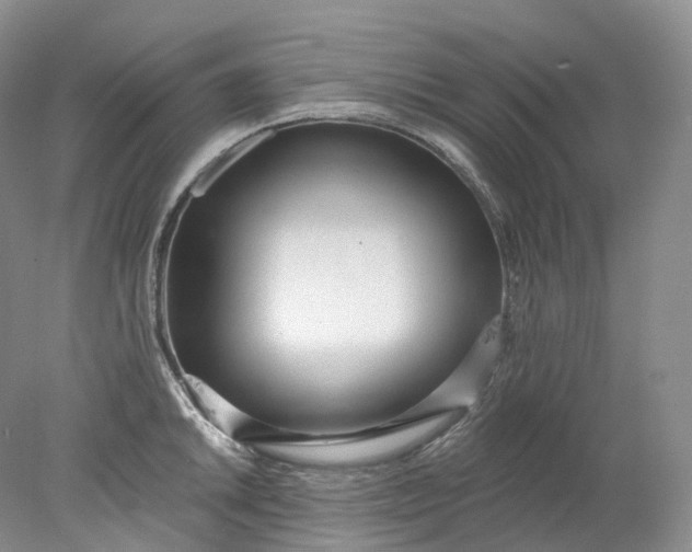 X0000078311046200611172210