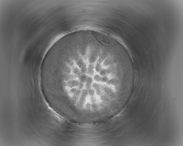 X0000078311048200611172210