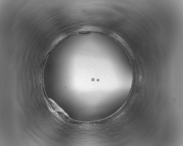 X0000078311049200611172210