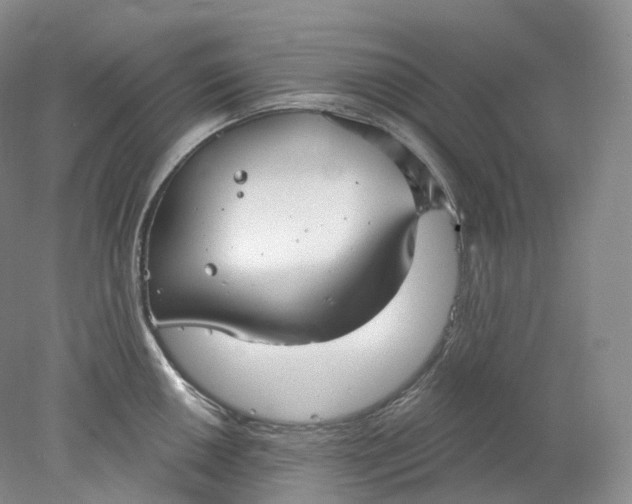 X0000078311050200611172210