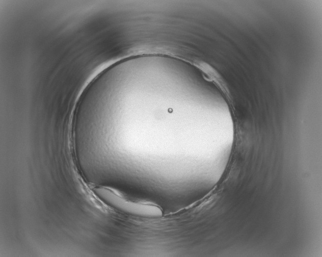 X0000078311052200611172210