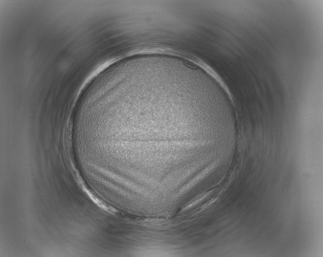 X0000078311053200611172210