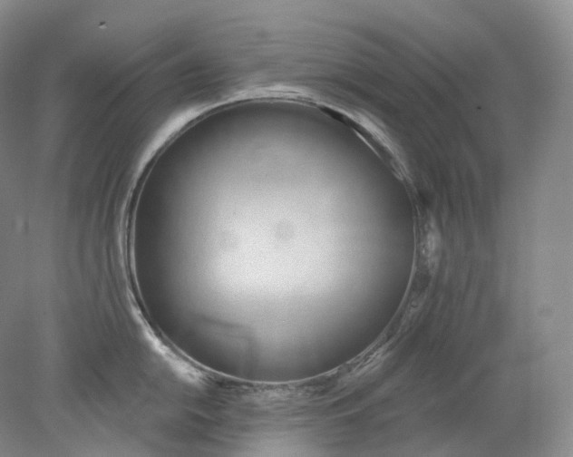 X0000078311054200611172210