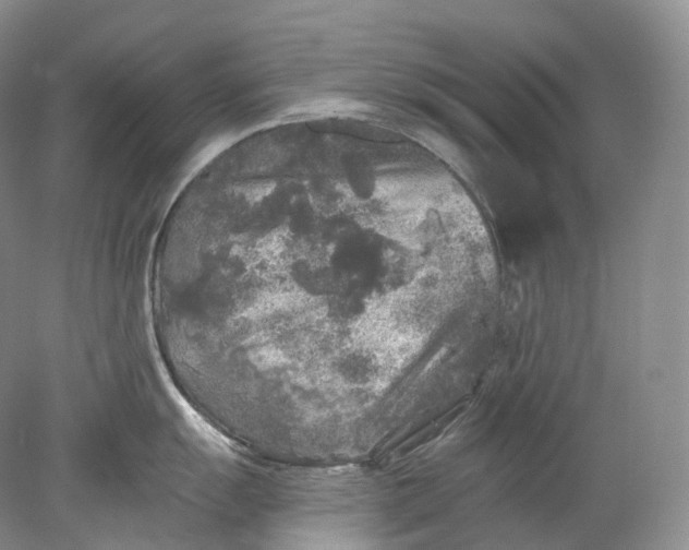 X0000078311055200611172210