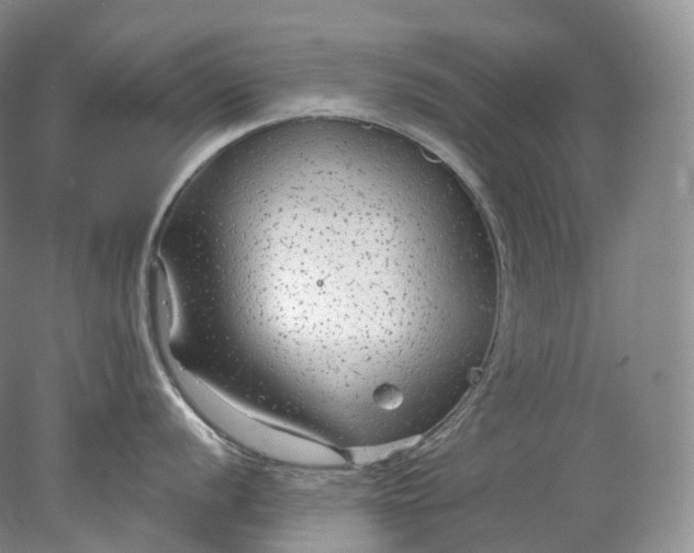 X0000078311056200611172210