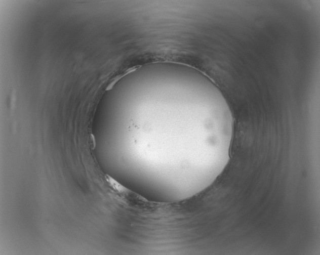 X0000078311057200611172209