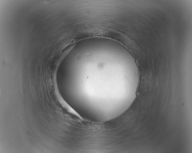 X0000078311058200611172209